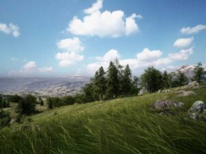 Brushify Forest Pack