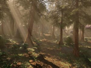 Fantasy Forest Forest Environment