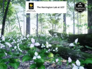 35 AR VR Northeastern US Plants and Ecosystems