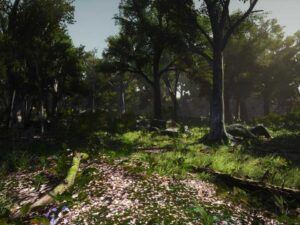 3D Scanned Photo Realistic Forest Landscape Asset Pack Vol 1