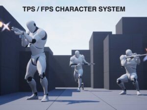 TPS FPS Character System