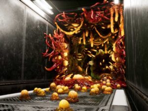 Alien Biomass Infection Planet and Sci-Fi Corridor