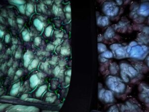 Alien Biomass Materials