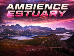Ambient Video Game Music Estuary