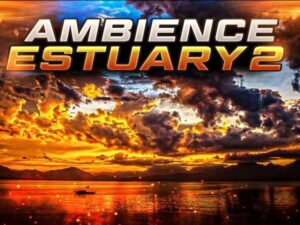 Ambient Video Game Music Estuary 2