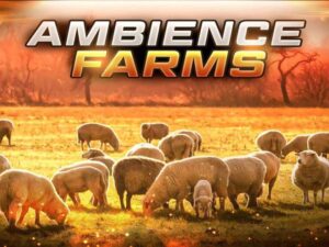 Ambient Video Game Music Farms