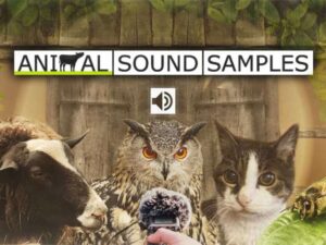 Animal Sound Samples