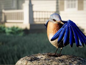Animalia Bluebird