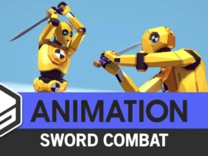 ANIMATION Sword Combat