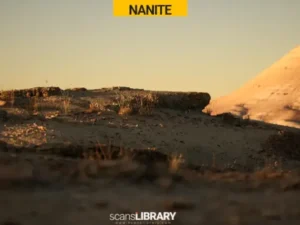 Arid Landscape NANITE