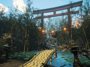 Bamboo grove