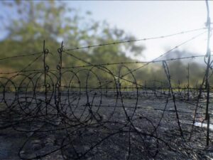 Barbed Wire Pack