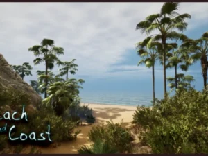 Beach and Coast Environment