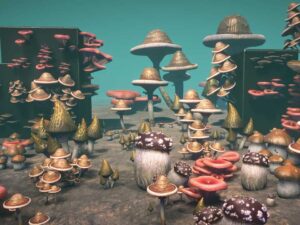 Big mushrooms