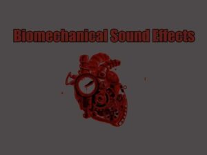 Biomechanical Sound Effects