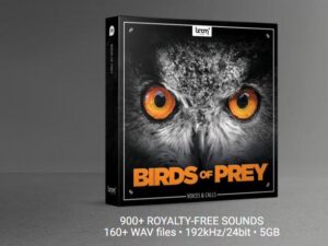 BIRDS OF PREY