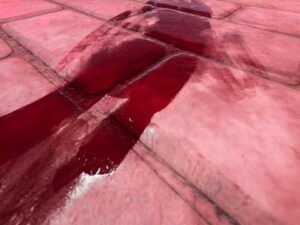 Blood Additional Footprints And Trails