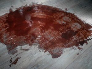 Blood Trails