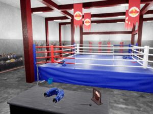 Boxing hall interior and equipments