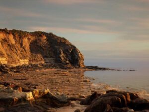 Brushify Beach Pack