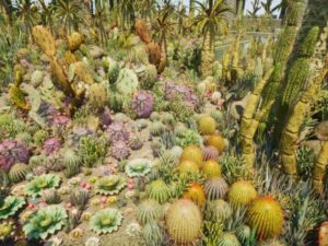 Cactus Plants Desert Garden