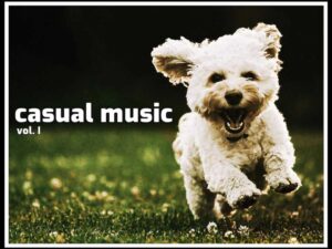 Casual Music Vol I