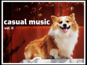 Casual Music Vol II