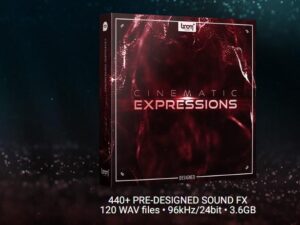 CINEMATIC EXPRESSIONS