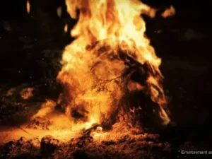Cinematic Fire