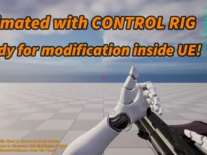 Customizable Shooter Arms Animations