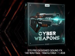 CYBER WEAPONS