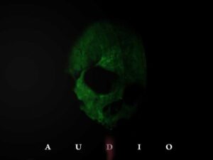 D1 Audio Bundle