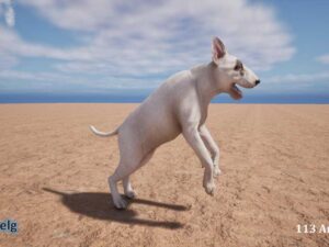 Dog Bull Terrier