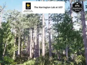 Dome Swamp Habitat Brush