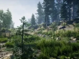 Environment Set
