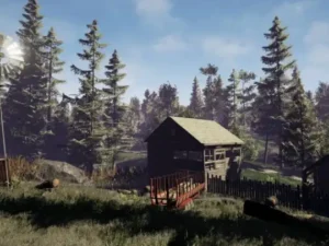 European Forest