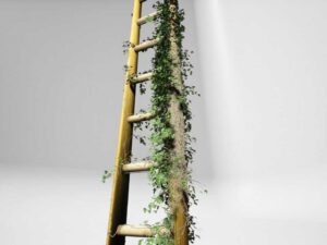 Everything Ivy Volume Two