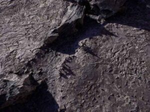 Exoplanetary Crater