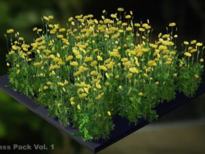 Field Grass Package Vol 1