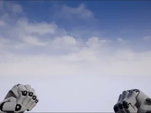 First Person Combat Fists