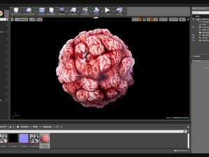 Flesh Pack of 7 PBR Materials