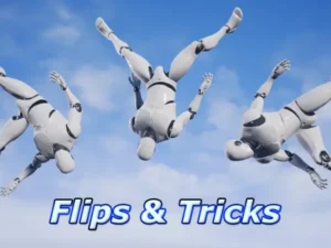 Flips and Tricks