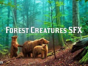 Forest Creatures SFX Pack