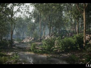 Forest Environment