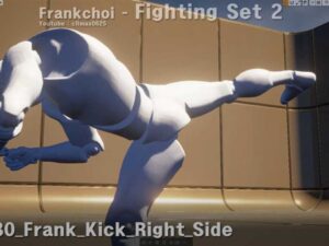 Frank Fighting Set 2