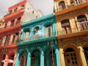 Havana Street Environment
