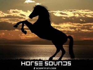 Horse Sounds Pro