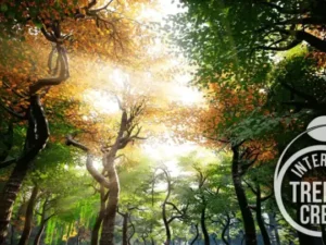 Interactive Tree Creator