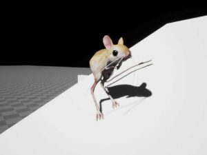 Jerboa