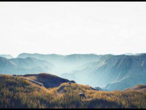 Landscape VOL 01